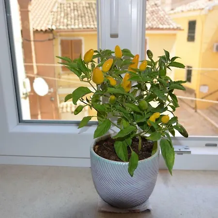 Διαμέρισμα Suitedreams,next To St.spiridon Church Corfu (city)